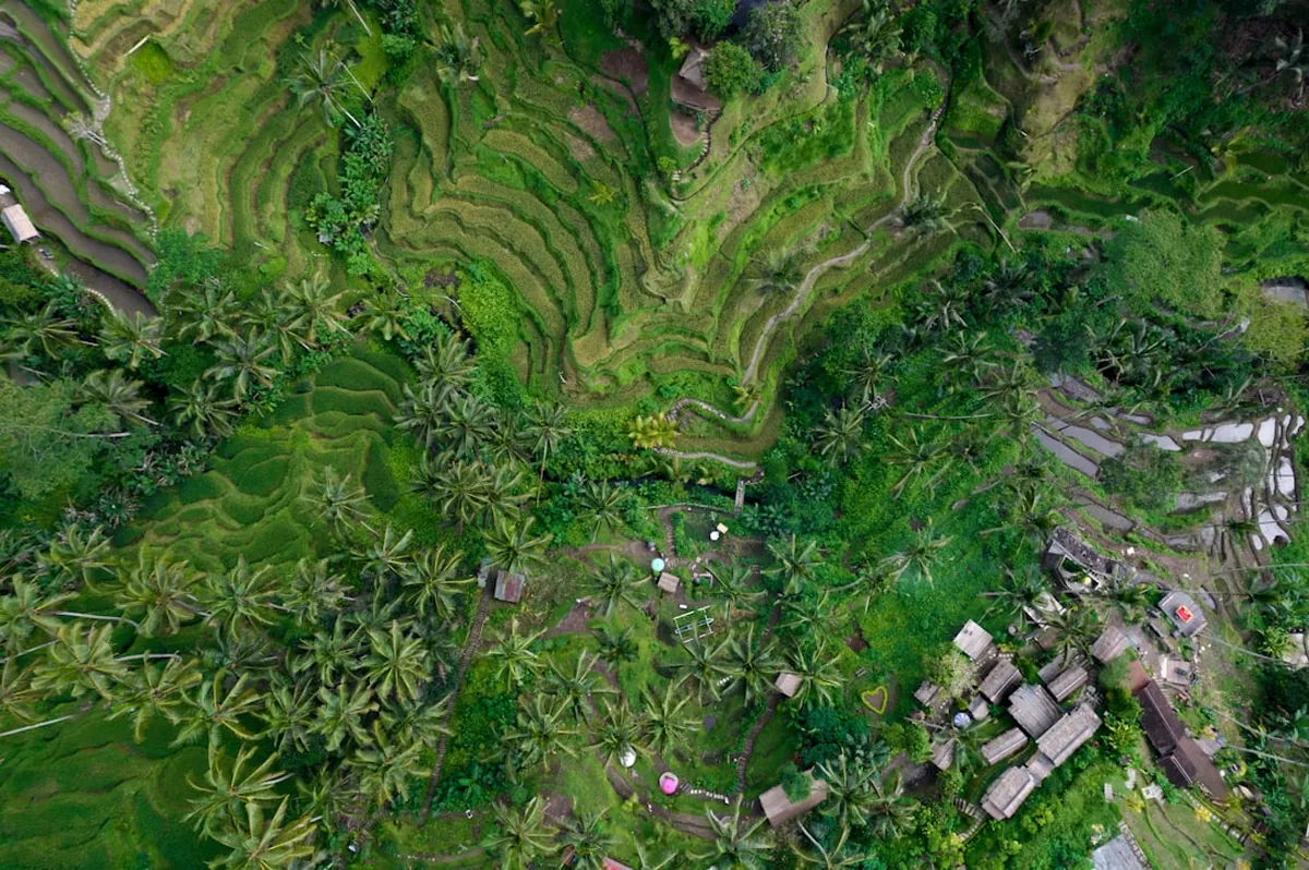Exploring North Bali: A Guide to its Hidden Charms and Practical Insights