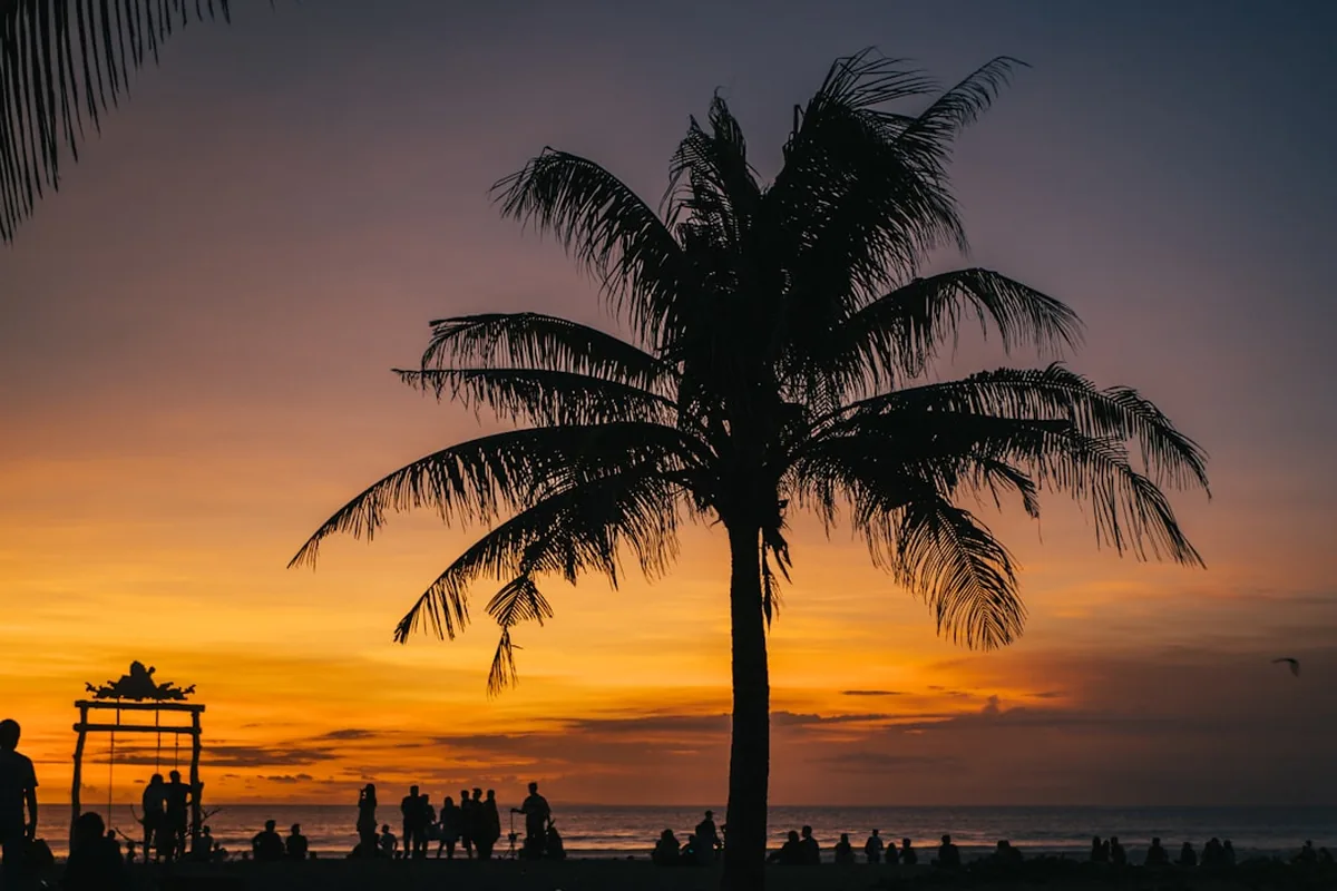 Bali Beach Sunset Palm — North Bali Airports