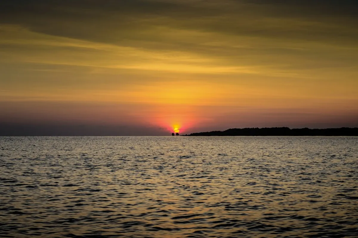 Exploring North Bali: Diving, Culture, and Investment Opportunities