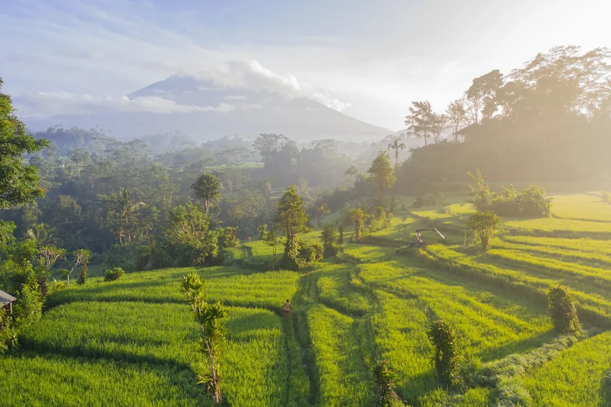 Bali Landscape Hills Aerial — North Bali Airports